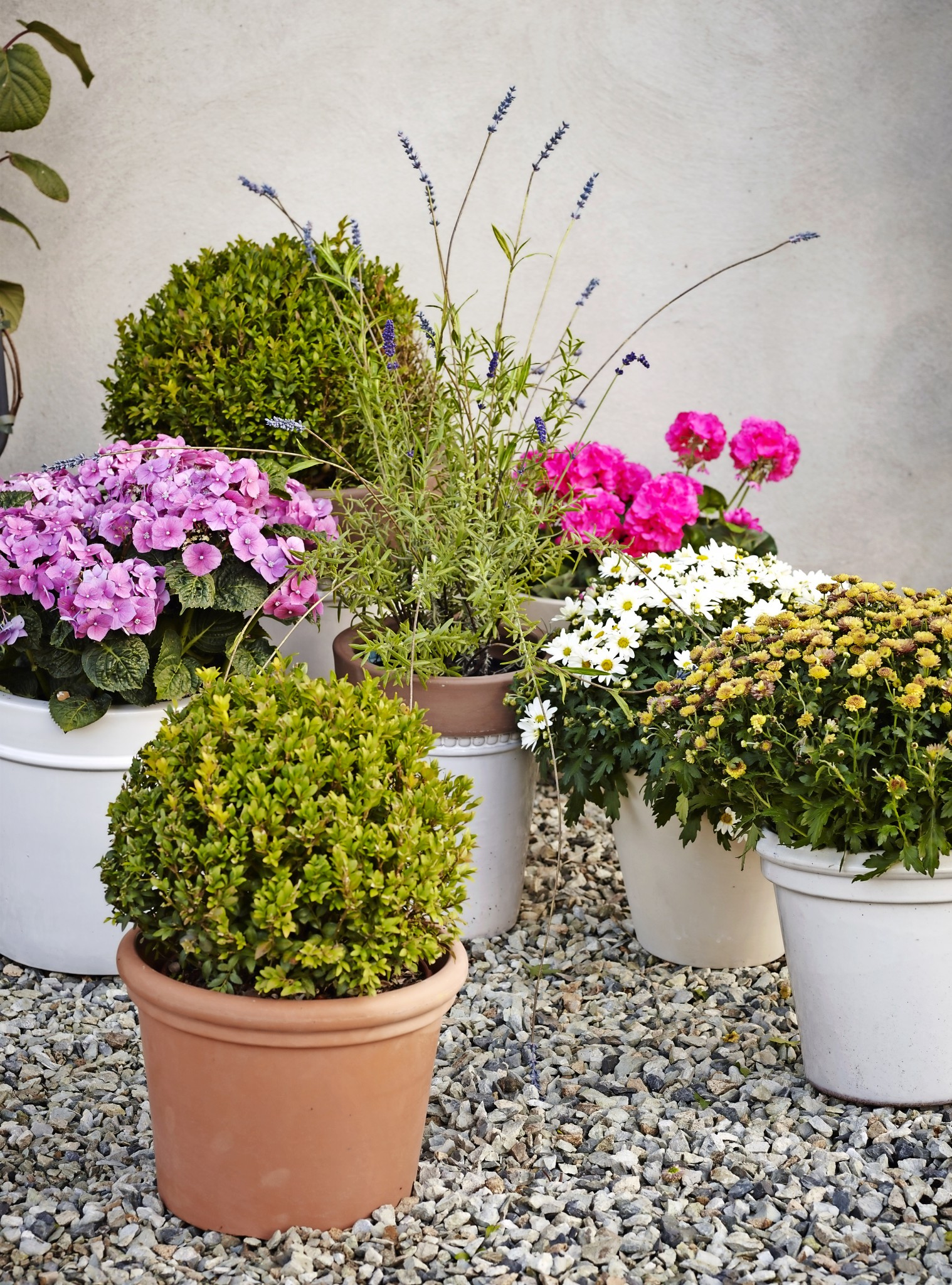 Planter – min oase