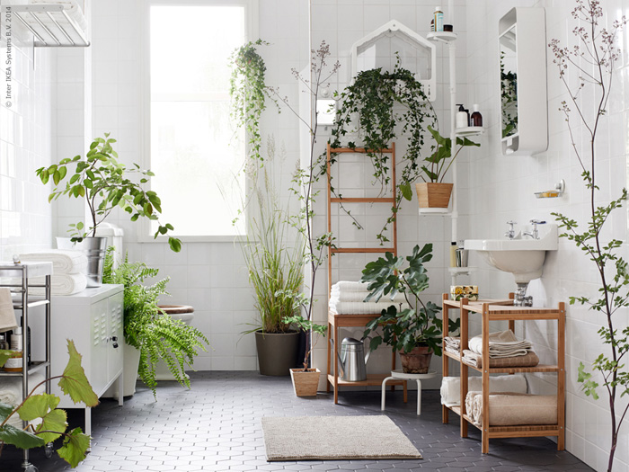 Inne – min oase