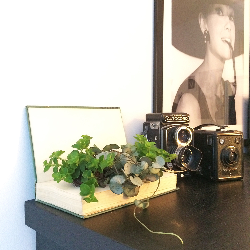 Inspirasjon – min oase