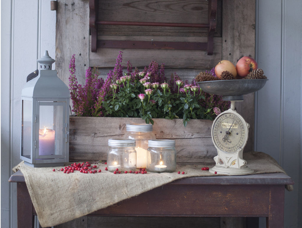 Inspirasjon – min oase