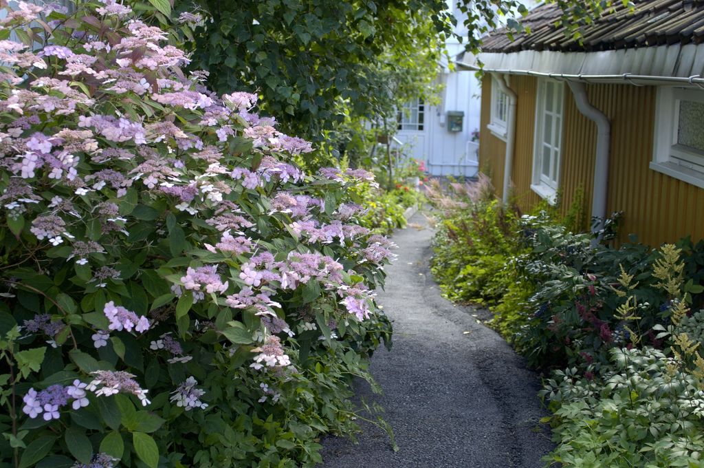 Riktig bruk av stein i hagen gir linjer og struktur. Elementer som terrasser, murer, trapper og gangveier danner utgangspunktet for en god hageplan.