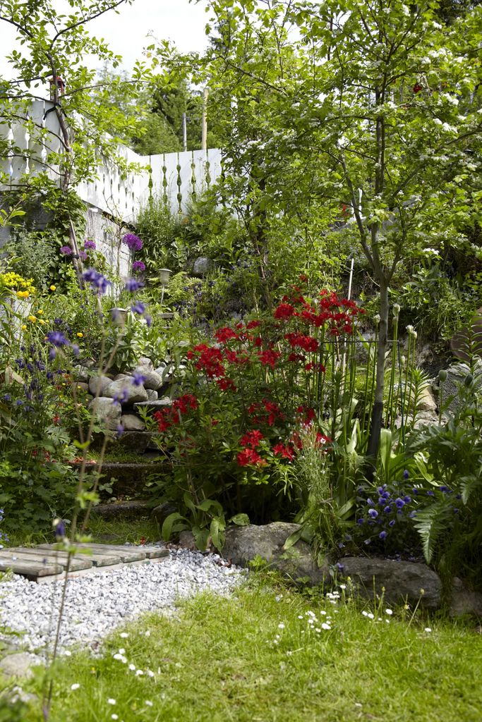 Magnolia blomstrer side om side med danske villtusenfryd og eksotiske kiwi, ferskener og druer. I denne hyttehagen er det planter fra alle verdens hjørner