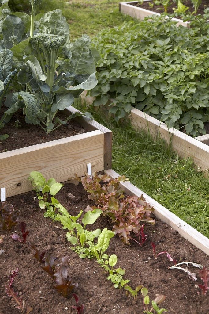I denne kolonihagen jobbes og planlegges det året rundt. Se tipsene sesong for sesong, for grønnsaker, planter og blomster. Kjøkkenhage.