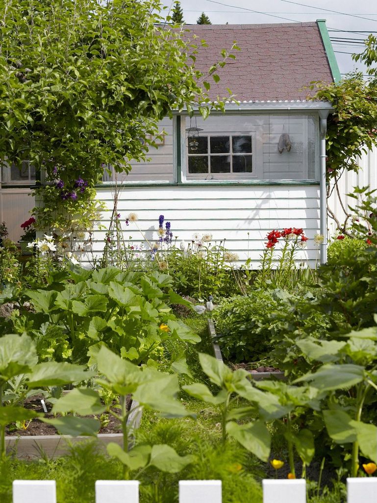 I denne kolonihagen jobbes og planlegges det året rundt. Se tipsene sesong for sesong, for grønnsaker, planter og blomster. Kjøkkenhage.