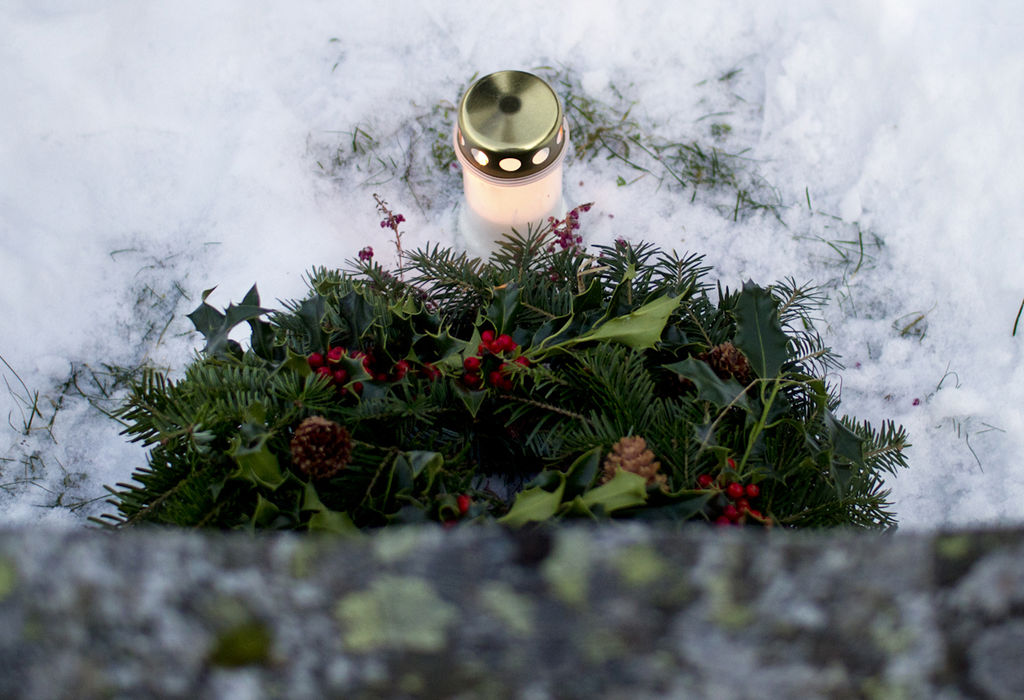 Når bør du handle inn juleplantene som julestjerne, amaryllis og svibler? Her får du en smart liten guide.