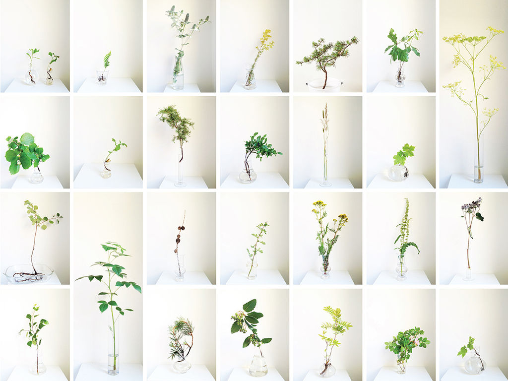 Vis frem hele planten med røtter og alt i reagensglass eller andre glassvaser. Det er trenden nå, og den kommer for fullt.