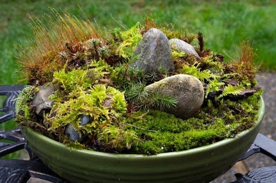 serenityinthegarden.blogspot.com