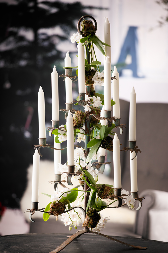 Phalaenopsis, eller orkidé om du vil, er en av julens mest solgte juleblomster.