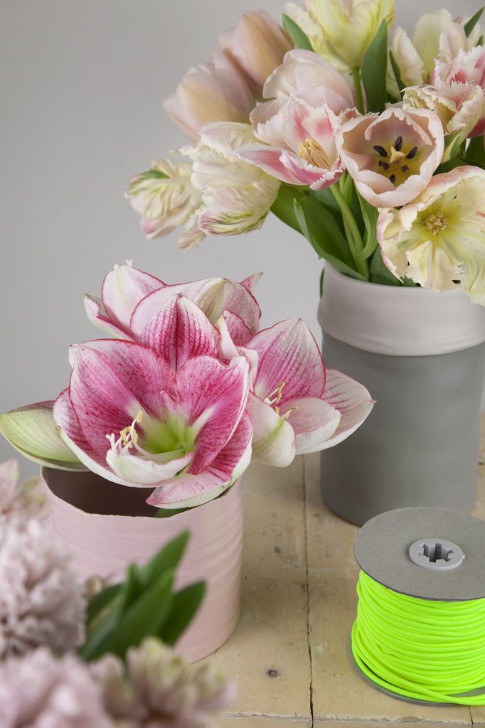 Tulipaner er landets mest solgte snittblomst.