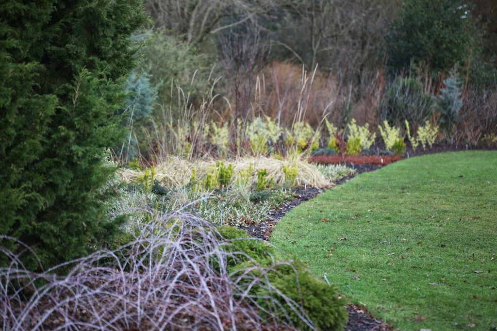 Bli med på hagebesøk på vinterstid til berømte Wisley Gardens i England. De gjør hagen til en opplevelse med en vintersti med planter som blomstrer på vinteren og tidlig vår.