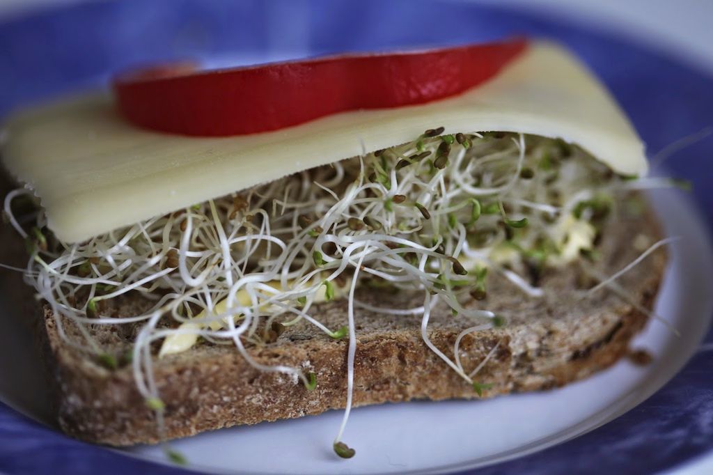 Grovbrød med pålegg og spirer. Sunt og veldig godt!