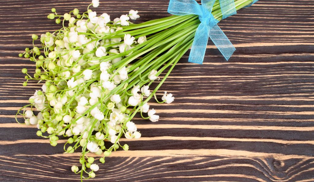 Dette er blomstenes hemmelige språk