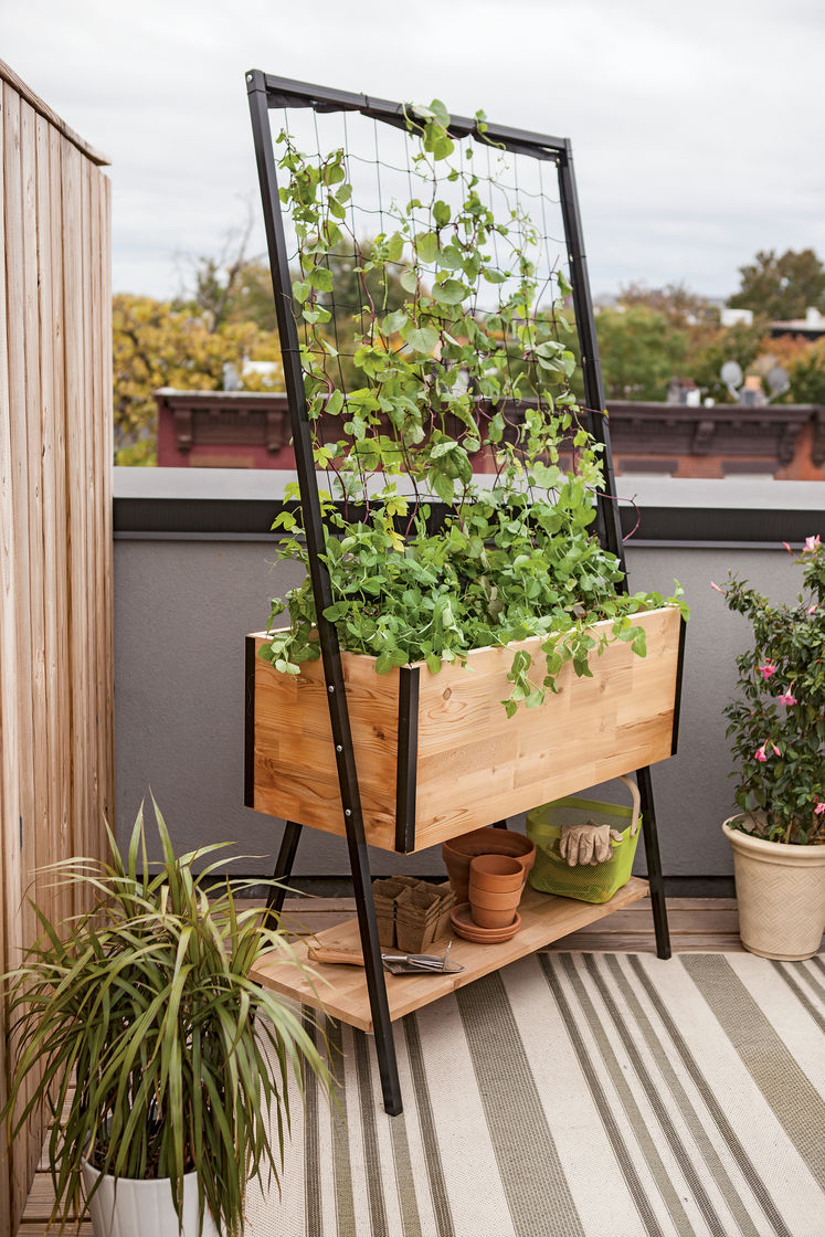 Inspirasjon – min oase Blomster til terrassen