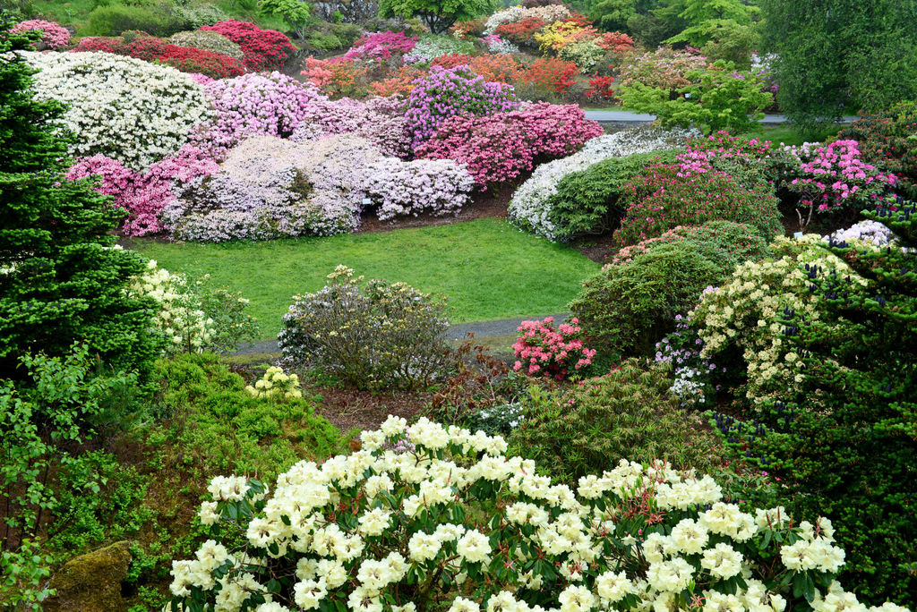 Arboretet i Bergen.