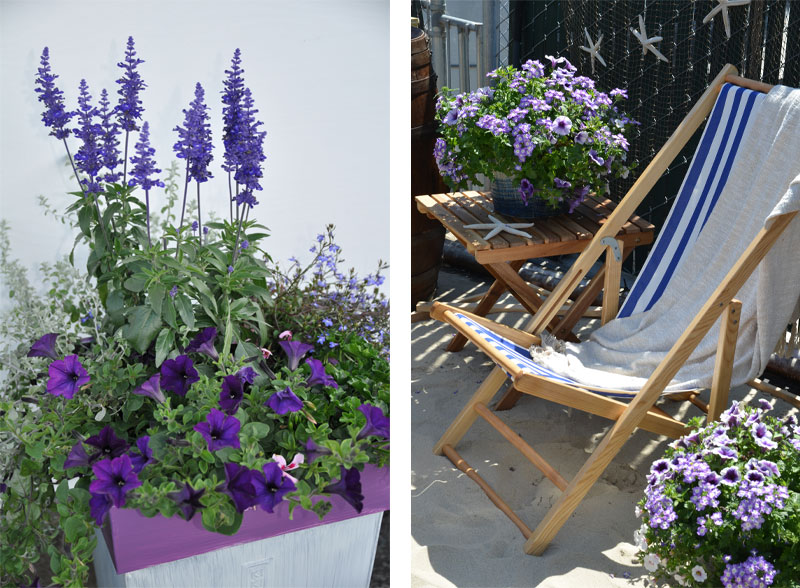nydelig_terrasse_planter_blå