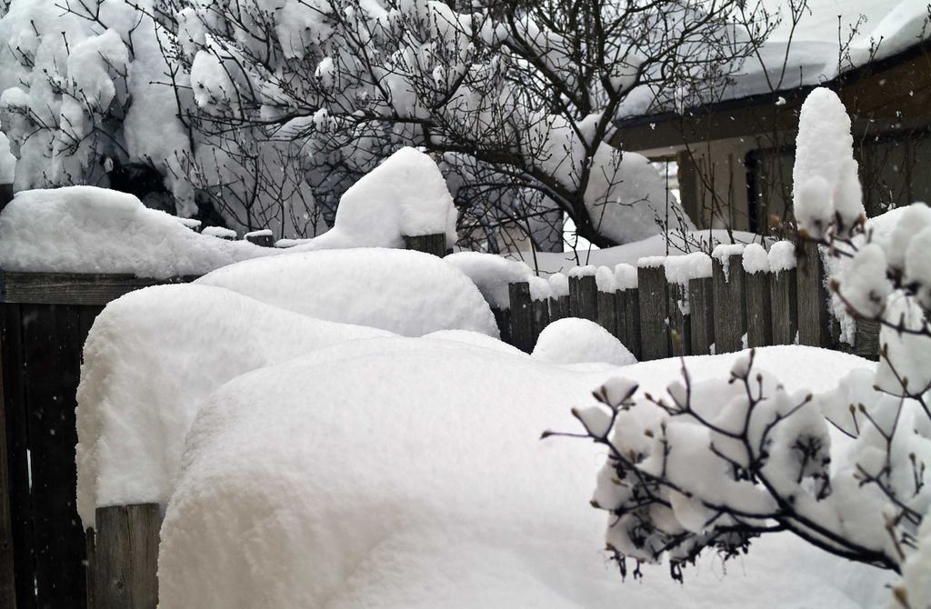 Forbered våren allerede i januar